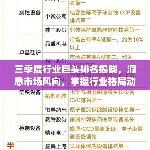 三季度行業巨頭排名揭曉，洞悉市場風向，掌握行業格局動態