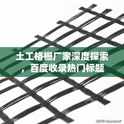 棲鳥于泉 第2頁