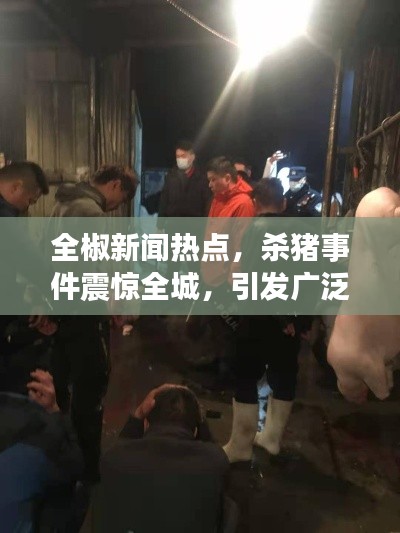 全椒新聞熱點，殺豬事件震驚全城，引發廣泛關注熱議