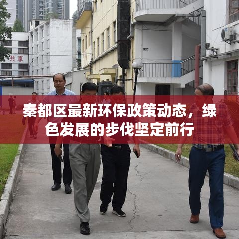 秦都區最新環保政策動態，綠色發展的步伐堅定前行