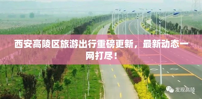 西安高陵區旅游出行重磅更新，最新動態一網打盡！