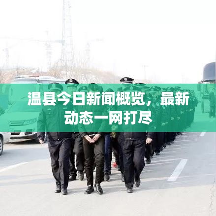 溫縣今日新聞概覽，最新動態一網打盡