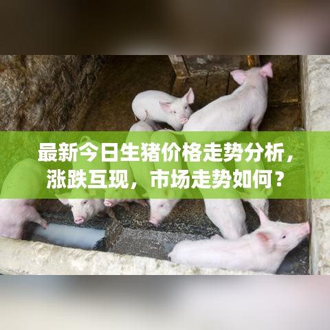 最新今日生豬價格走勢分析，漲跌互現，市場走勢如何？