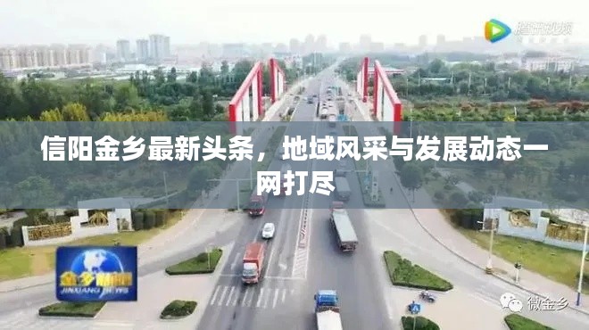 信陽金鄉最新頭條，地域風采與發展動態一網打盡