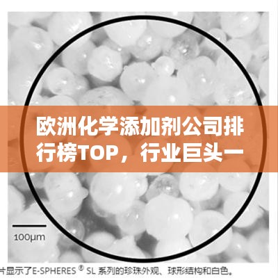 歐洲化學添加劑公司排行榜TOP，行業巨頭一覽