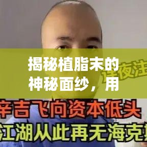 揭秘植脂末的神秘面紗，用途、功能與食品添加劑的深入了解