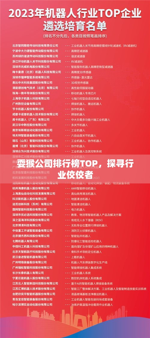 耍猴公司排行榜TOP，探尋行業佼佼者