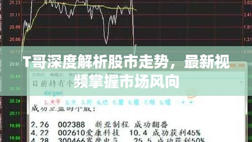 T哥深度解析股市走勢，最新視頻掌握市場風(fēng)向