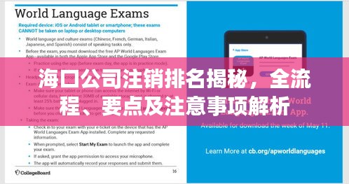 海口公司注銷排名揭秘，全流程、要點及注意事項解析