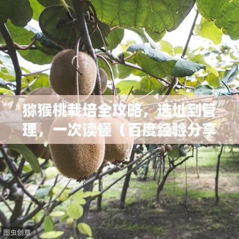 雍容典雅 第2頁(yè)