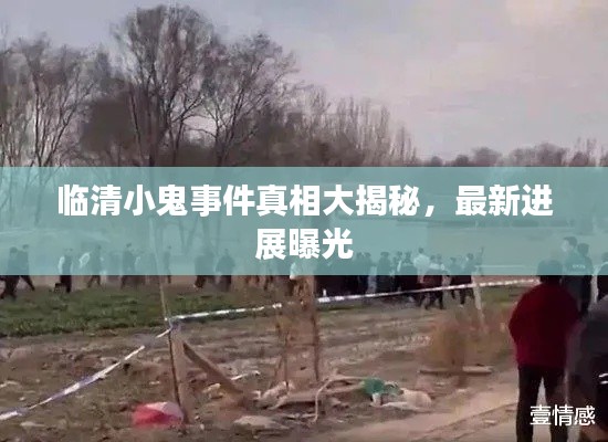 臨清小鬼事件真相大揭秘，最新進(jìn)展曝光