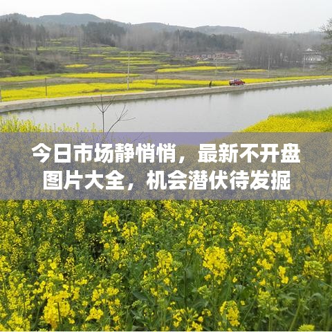 今日市場靜悄悄，最新不開盤圖片大全，機會潛伏待發掘