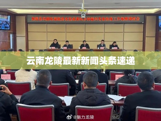 云南龍陵最新新聞頭條速遞