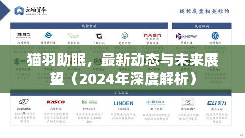 貓羽助眠，最新動態與未來展望（2024年深度解析）