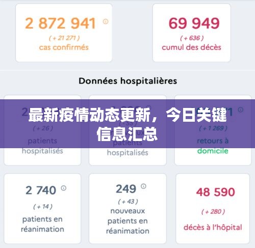 最新疫情動態(tài)更新，今日關(guān)鍵信息匯總