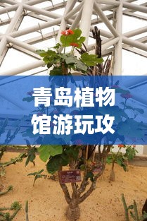 青島植物館游玩攻略，探索綠色世界的絕佳指南！