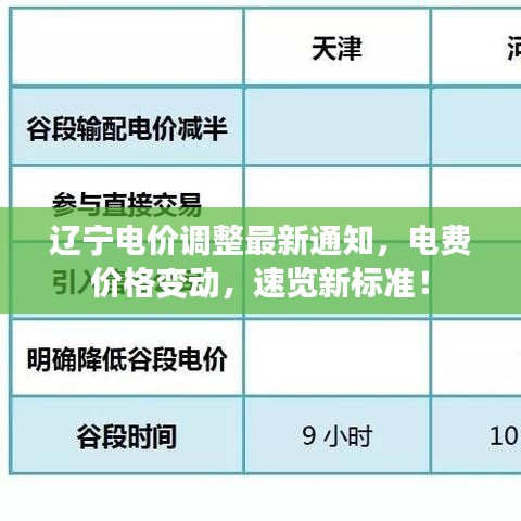 遼寧電價調整最新通知，電費價格變動，速覽新標準！