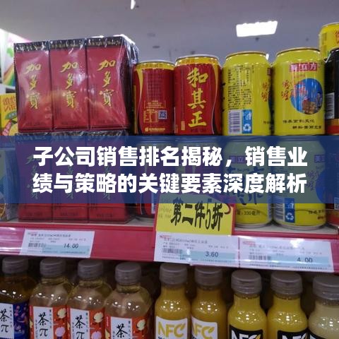 子公司銷售排名揭秘，銷售業績與策略的關鍵要素深度解析