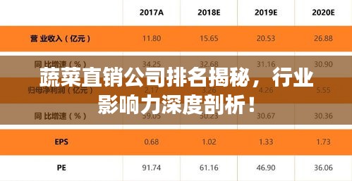 蔬菜直銷公司排名揭秘，行業影響力深度剖析！
