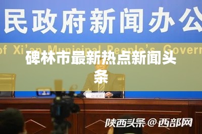 碑林市最新熱點新聞頭條