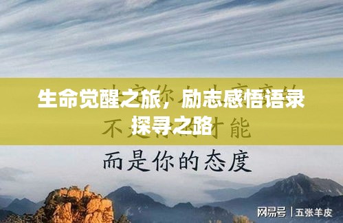 生命覺醒之旅，勵志感悟語錄探尋之路