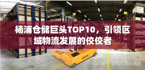 楊浦倉(cāng)儲(chǔ)巨頭TOP10，引領(lǐng)區(qū)域物流發(fā)展的佼佼者