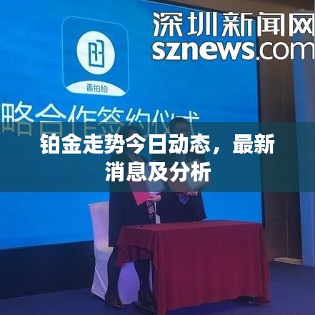 鉑金走勢(shì)今日動(dòng)態(tài)，最新消息及分析