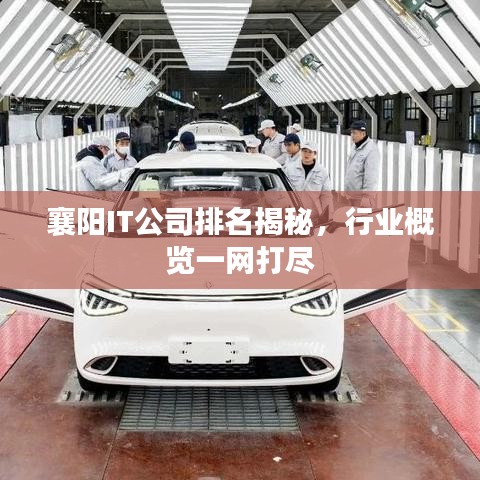 襄陽IT公司排名揭秘，行業概覽一網打盡