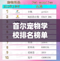 首爾寵物學校排名榜單揭曉，TOP 10最受歡迎寵物教育機構一覽