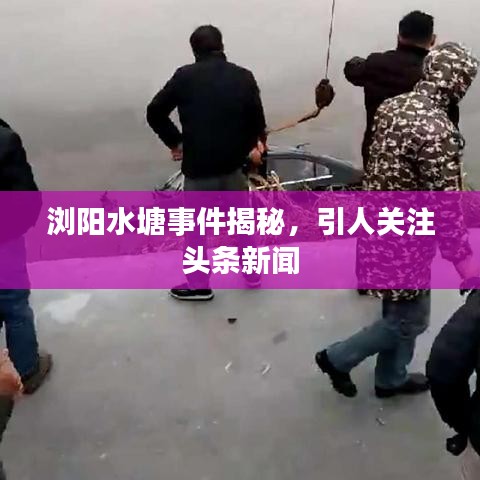 瀏陽水塘事件揭秘，引人關(guān)注頭條新聞