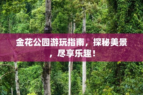 金花公園游玩指南，探秘美景，盡享樂趣！