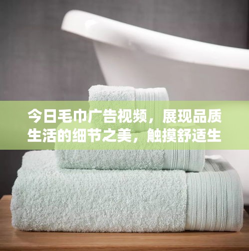 今日毛巾廣告視頻，展現品質生活的細節之美，觸摸舒適生活