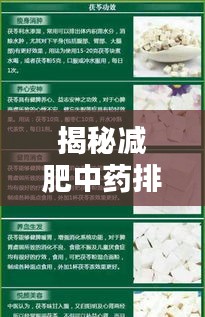 揭秘減肥中藥排行榜前十名，助力瘦身塑形新篇章！