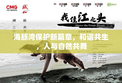 海豚灣保護新篇章，和諧共生，人與自然共舞