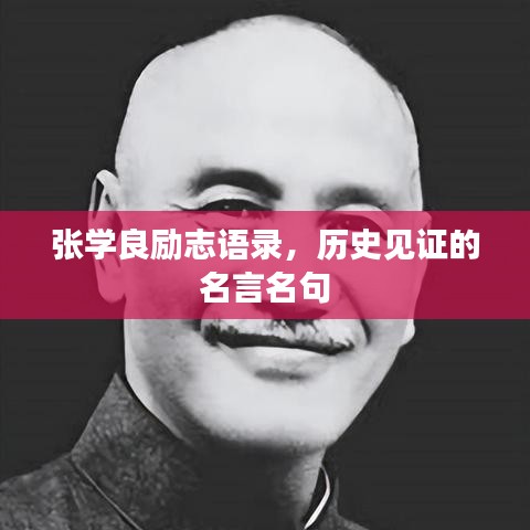 張學(xué)良勵志語錄，歷史見證的名言名句
