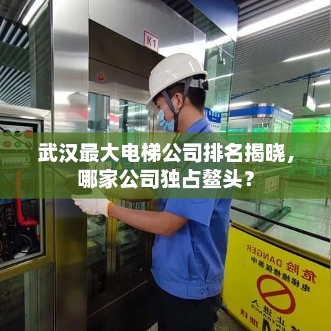 武漢最大電梯公司排名揭曉，哪家公司獨占鰲頭？