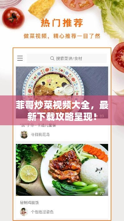 菲哥炒菜視頻大全，最新下載攻略呈現！