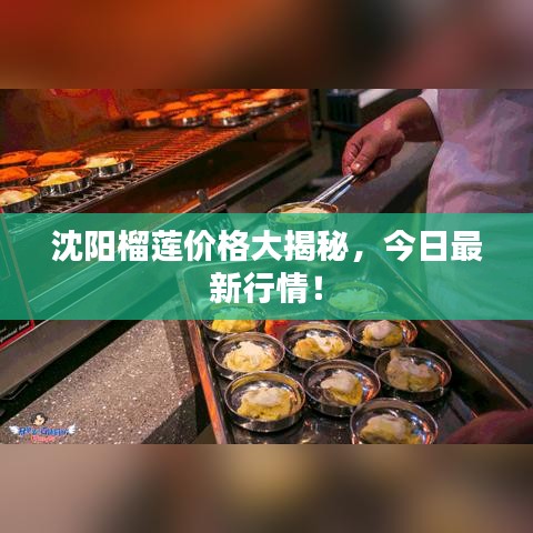 沈陽榴蓮價格大揭秘，今日最新行情！