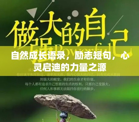 自然成長語錄，勵志短句，心靈啟迪的力量之源