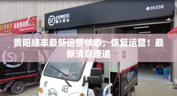 貴陽順豐最新運(yùn)營狀態(tài)，恢復(fù)運(yùn)營！最新消息速遞