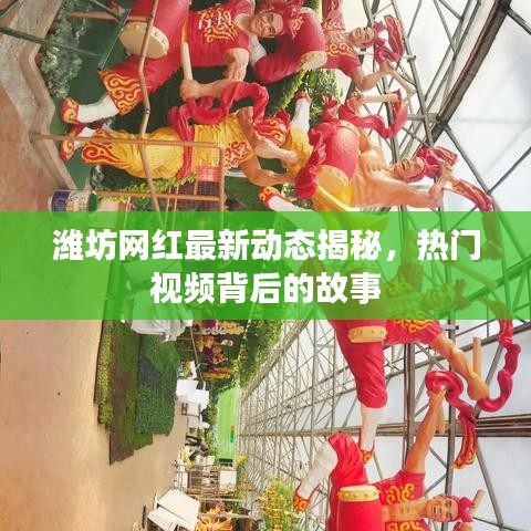 濰坊網紅最新動態揭秘，熱門視頻背后的故事