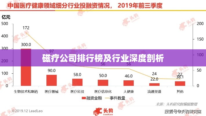 磁療公司排行榜及行業深度剖析