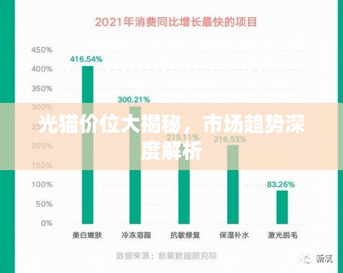 光貓價位大揭秘，市場趨勢深度解析