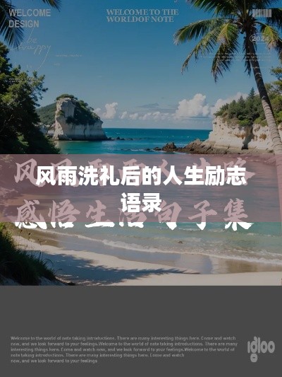 風雨洗禮后的人生勵志語錄