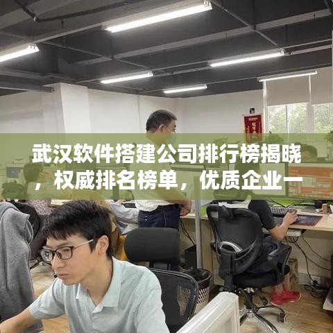 武漢軟件搭建公司排行榜揭曉，權(quán)威排名榜單，優(yōu)質(zhì)企業(yè)一覽無余！