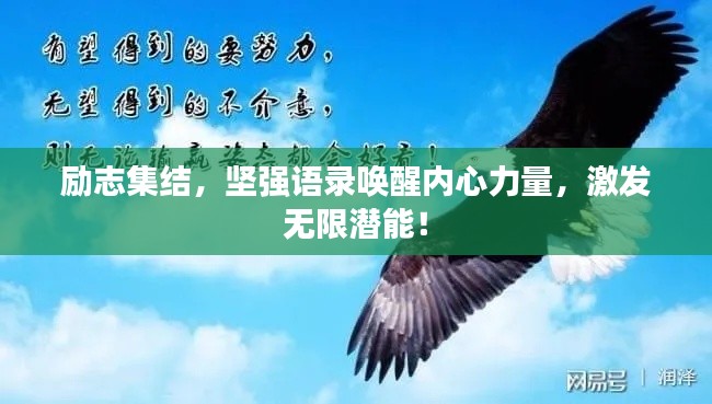 勵志集結，堅強語錄喚醒內心力量，激發無限潛能！