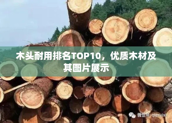 木頭耐用排名TOP10，優質木材及其圖片展示