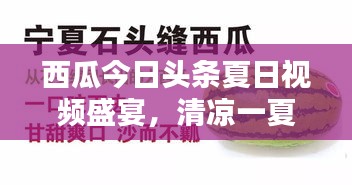 西瓜今日頭條夏日視頻盛宴，清涼一夏，熱點新聞一網(wǎng)打盡