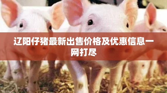 遼陽仔豬最新出售價格及優惠信息一網打盡