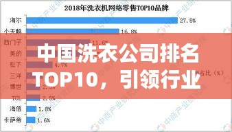 中國洗衣公司排名TOP10，引領行業潮流風向標